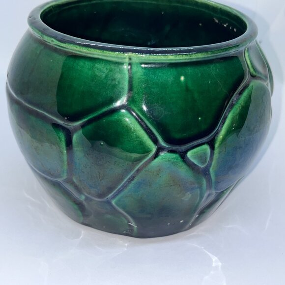 Other - Turtle Shell Plant Pottery